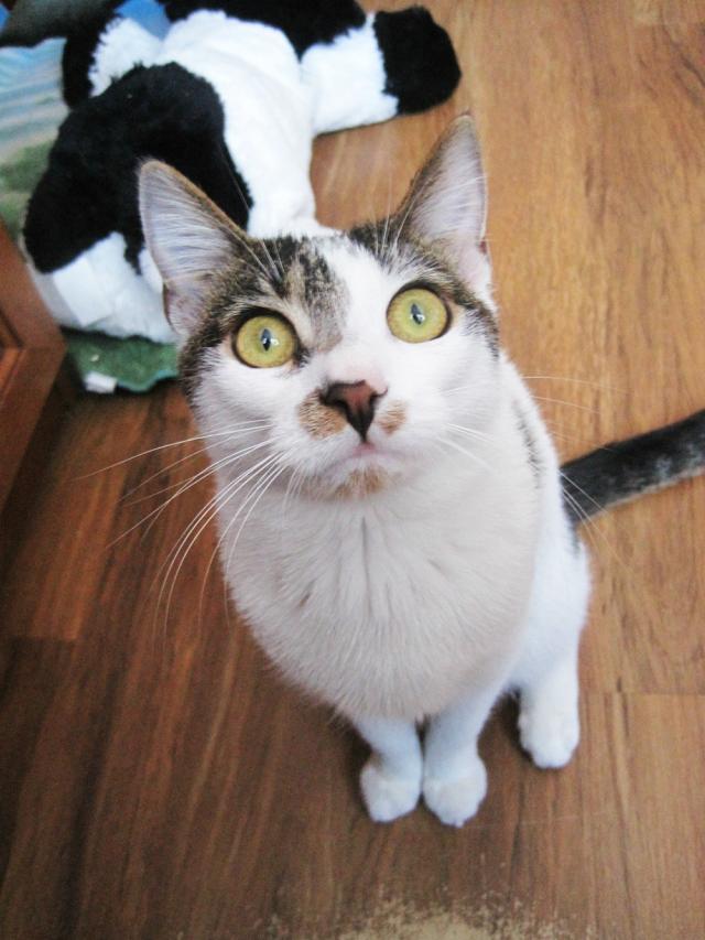 O.O 