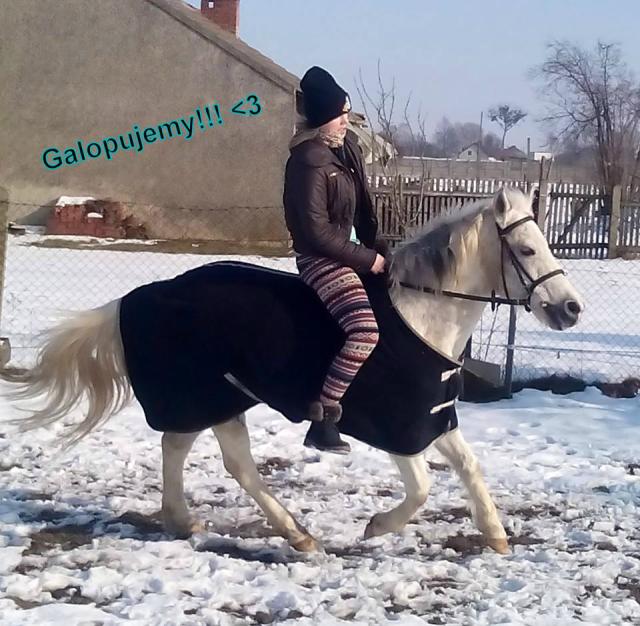 Galoping xD