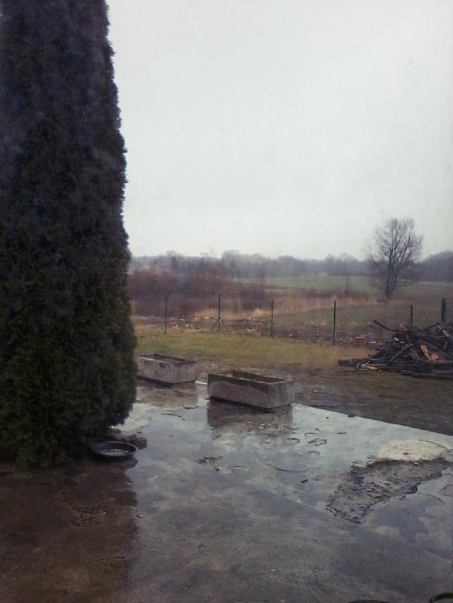 Wpis phototruskawka