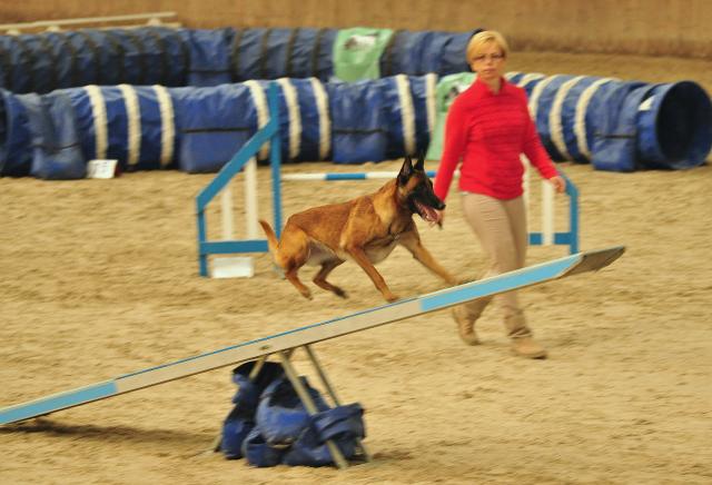 Agility Wrocaw