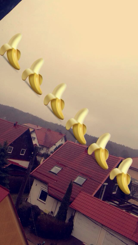 Wpis olikochamarcie