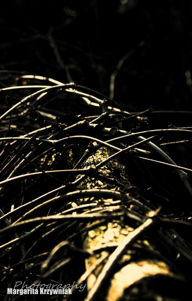dark