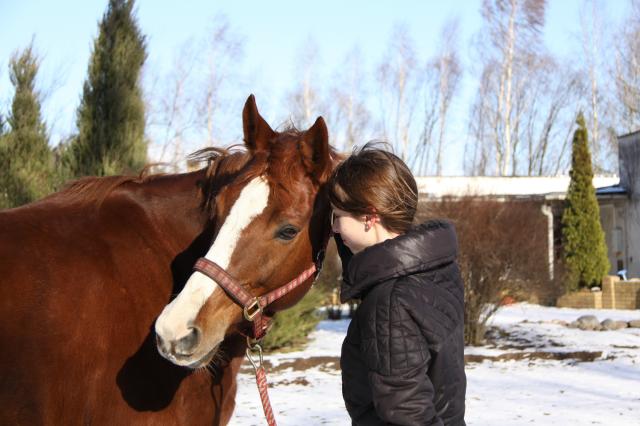 Wpis horsesmyloveforever