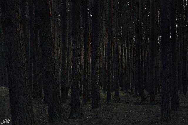 Witch Project