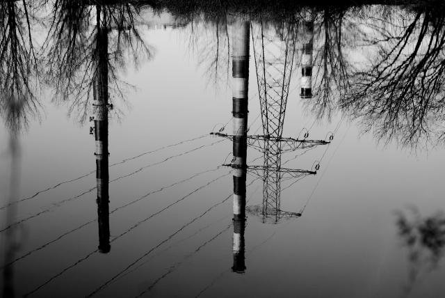 poison water