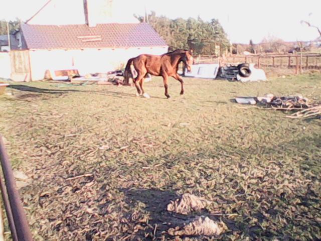 Wpis aneciakom
