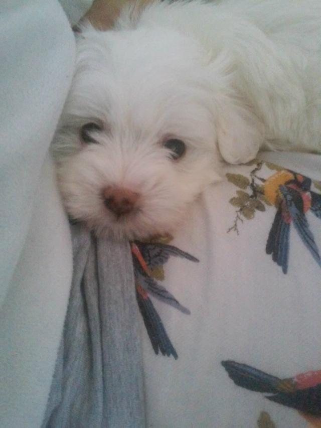 :*