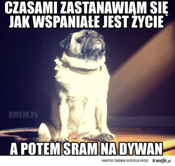 a ja w kiblu...