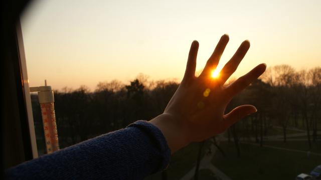 Carpe diem