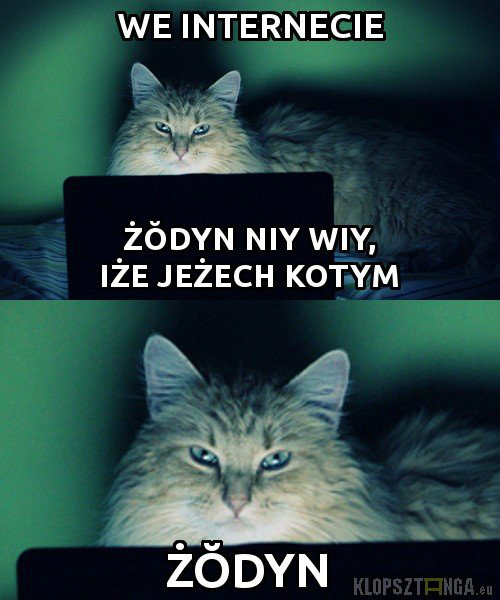 Wpis okusawokawon