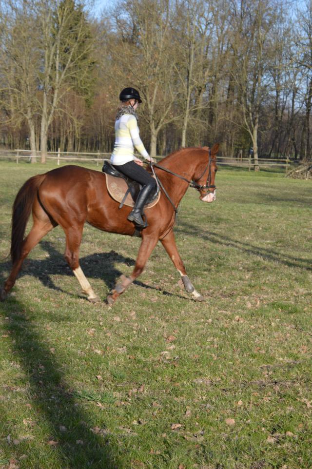 Wpis paradoxowa