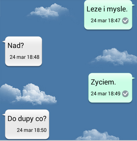 Wpis idealnienieidealna112