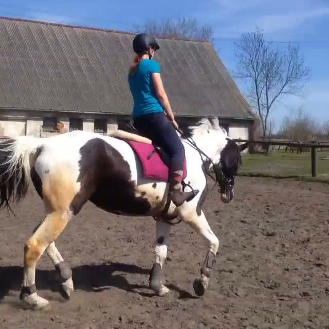 niedzielnie