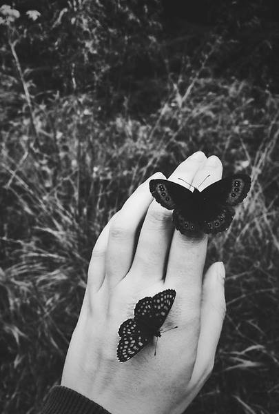 the one what repaired me.