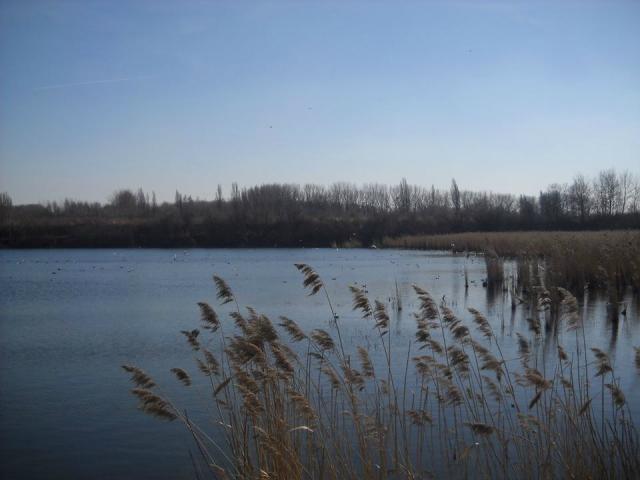 Wiosna! :) 