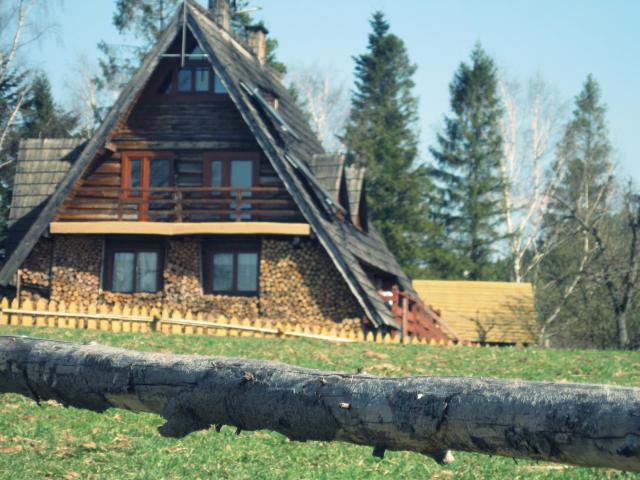 Wpis foliababelkowa