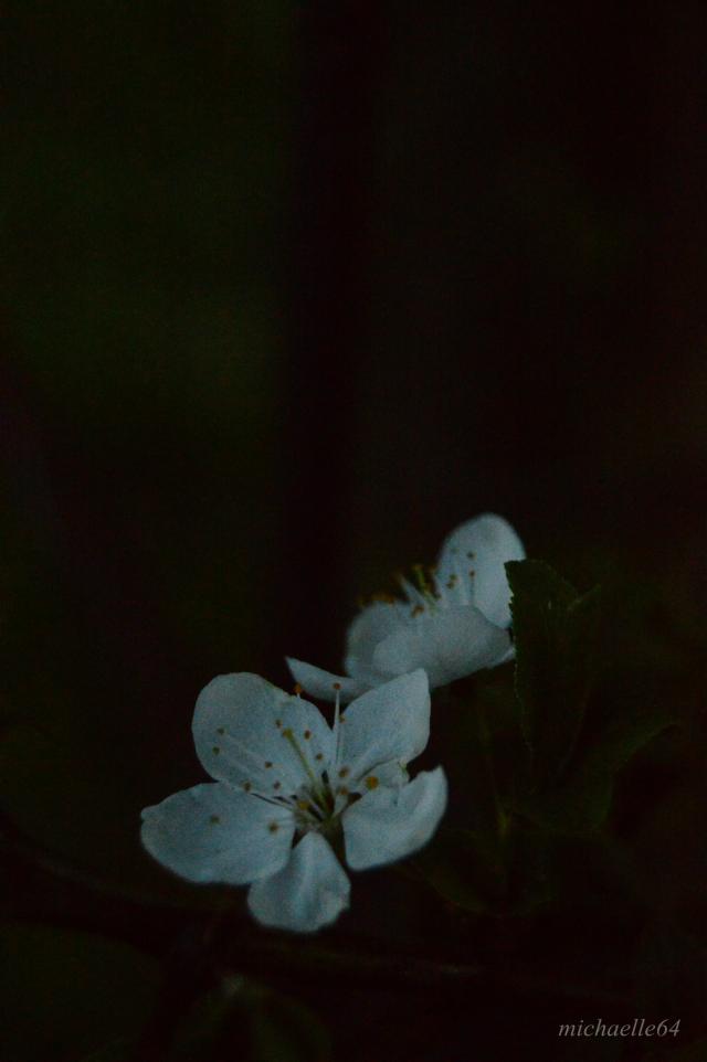 blue veins