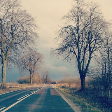 #Trip #road #tree #sky