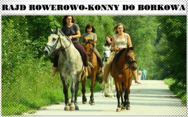 Rajd do Borkowa