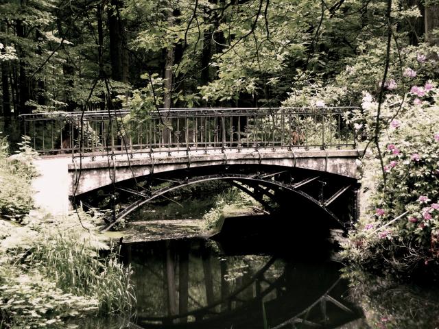 Wpis willowberg