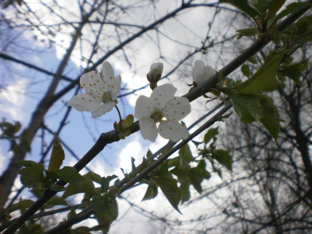 Wpis naturearoundtheyear