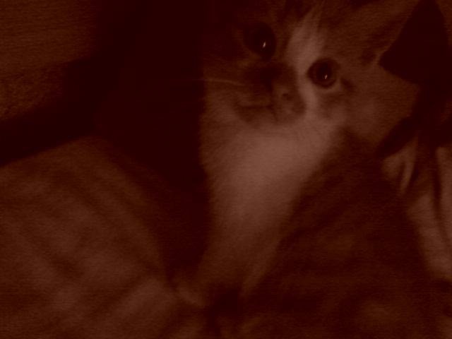 Gacy :)