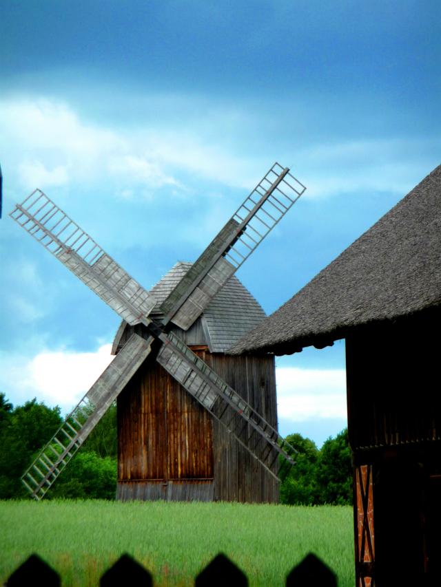 Wpis willowberg