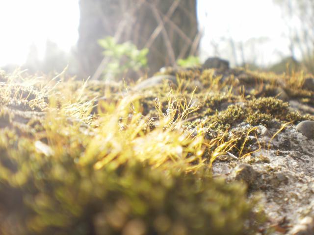 Wpis naturearoundtheyear