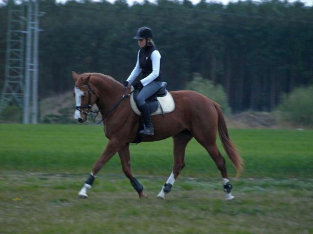 Wpis wildrider5