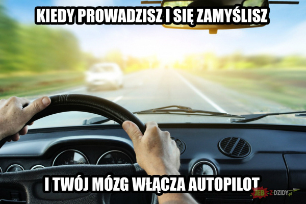 Wpis polizmniepotwarzy