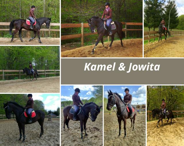 Wpis paula1998camel