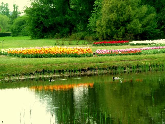 Ogrd Botaniczny w odzi