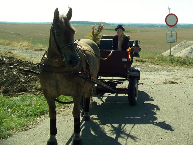 Wpis krajnikowa