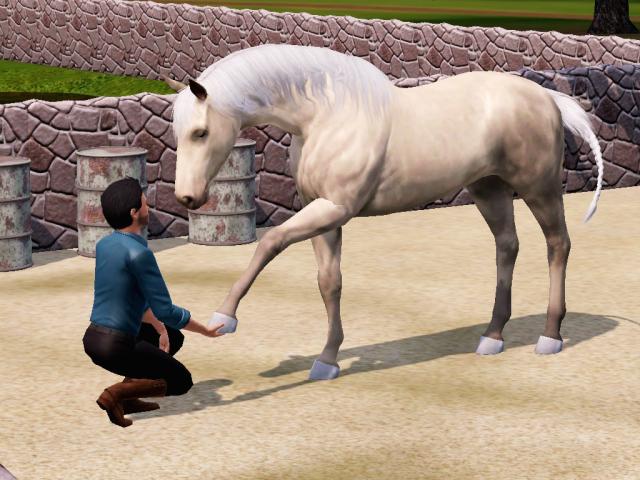 Wpis apstables