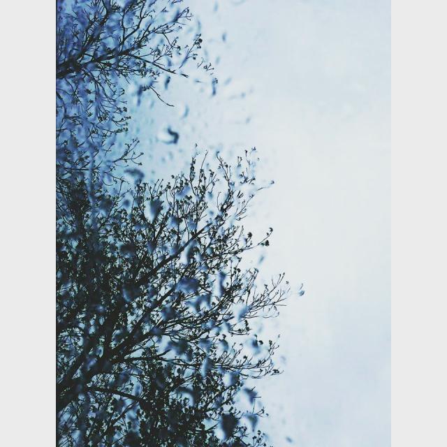 Wpis pomyslomilosci