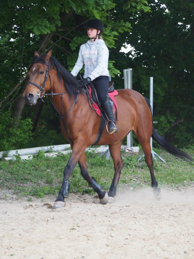 Trening czyni mistrza