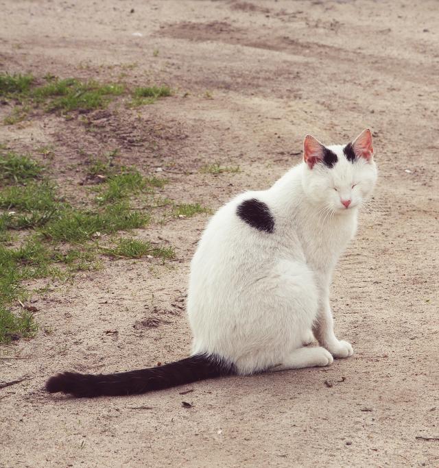 (m)nieka :)