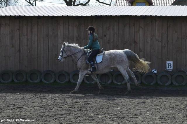 Wpis klaudia4925297