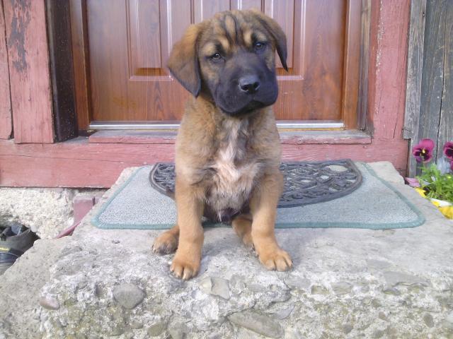 MISIEK ! :)