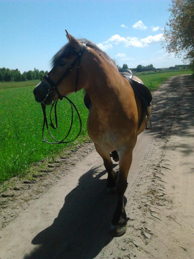 Misia