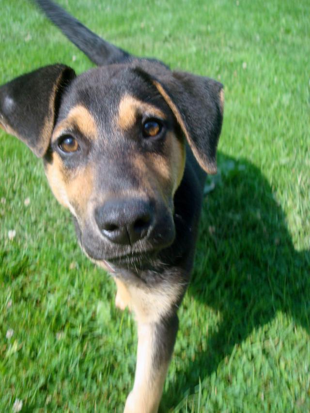 Tytus :)