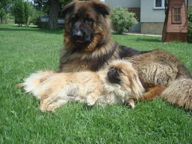 Roki i Diana
