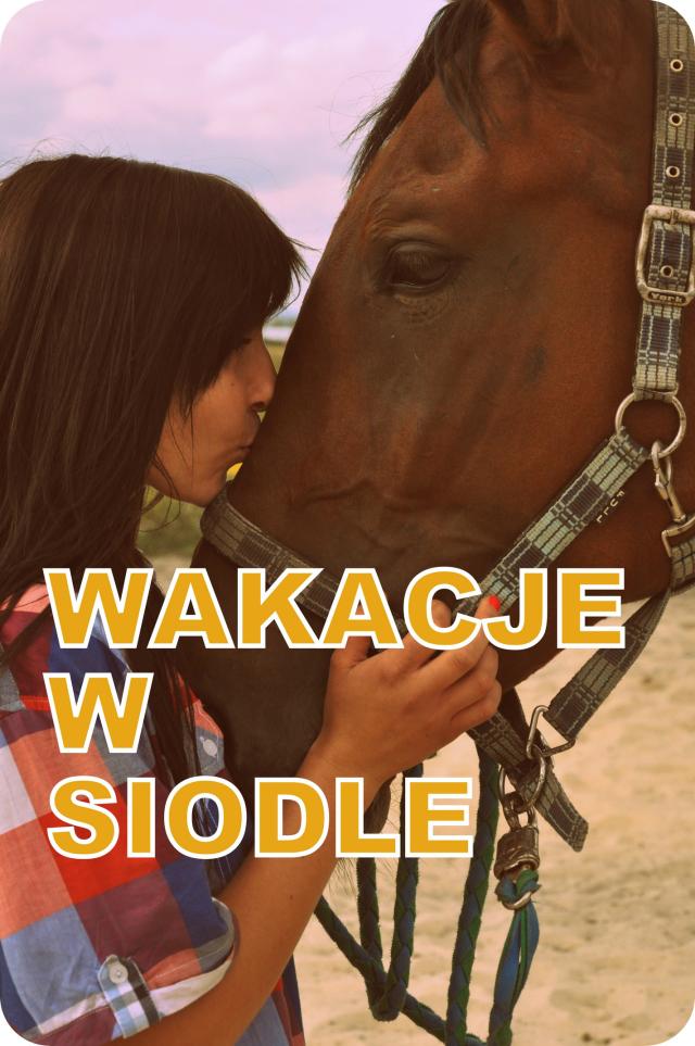 Wakacje w Siodle