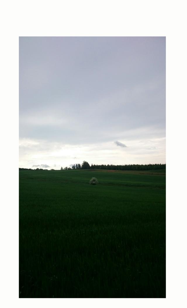 Wpis resor