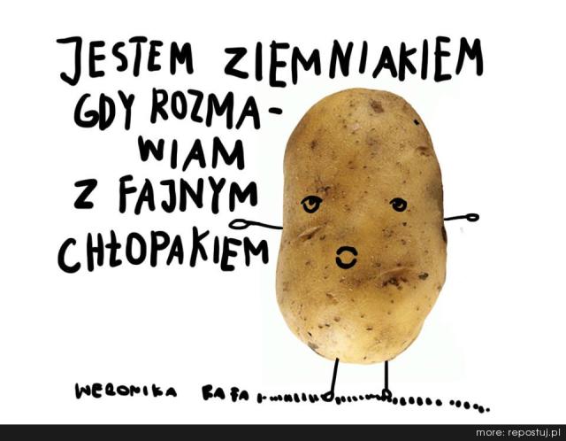 Wpis xmlekox