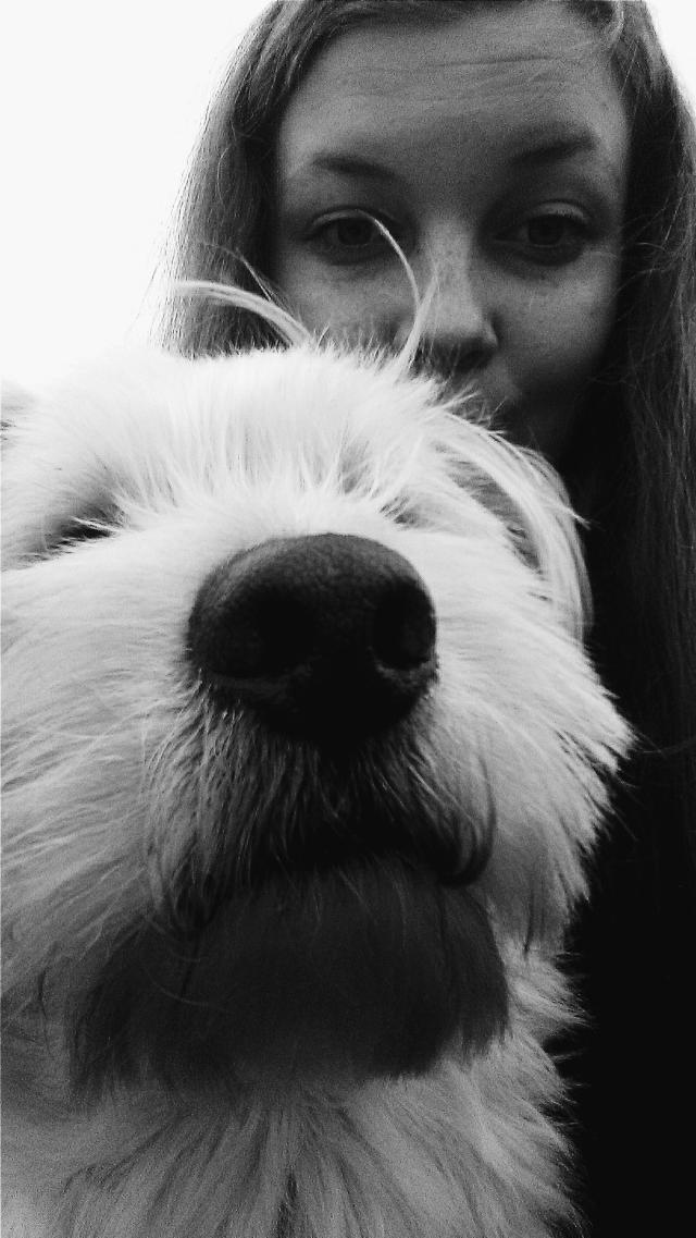 Wpis soczystachwila
