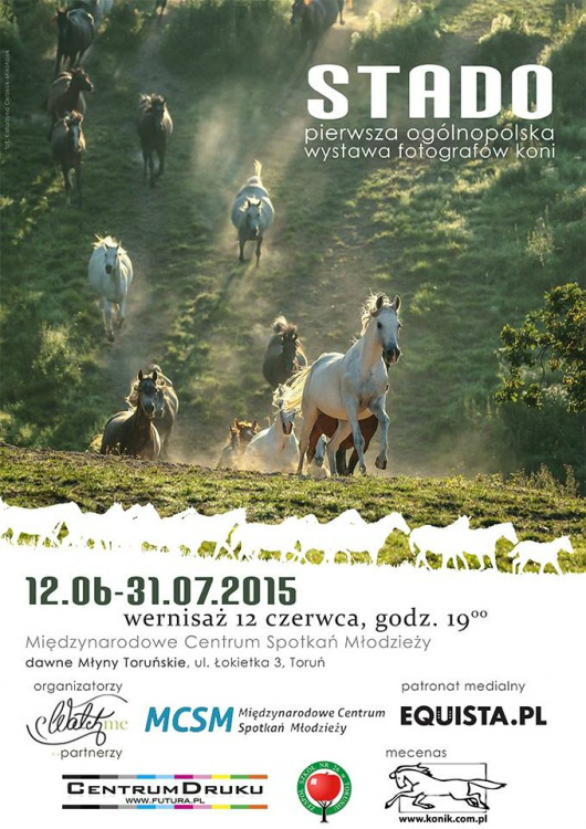 Wpis equinephoto