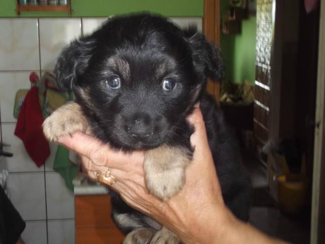 Wpis ania19091998