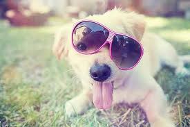 Tyle :D