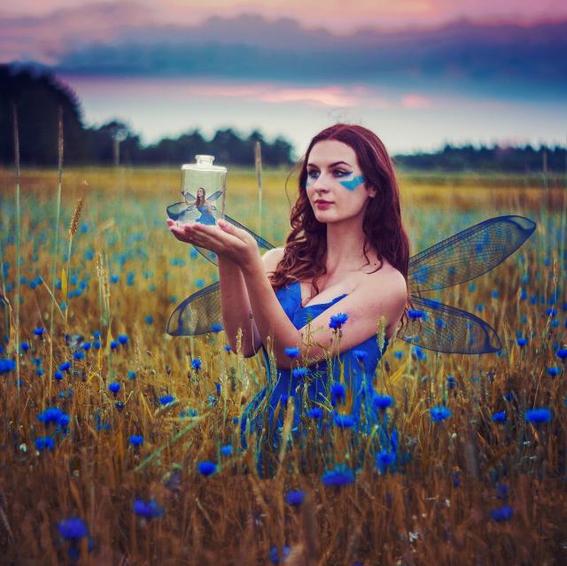 Fairy